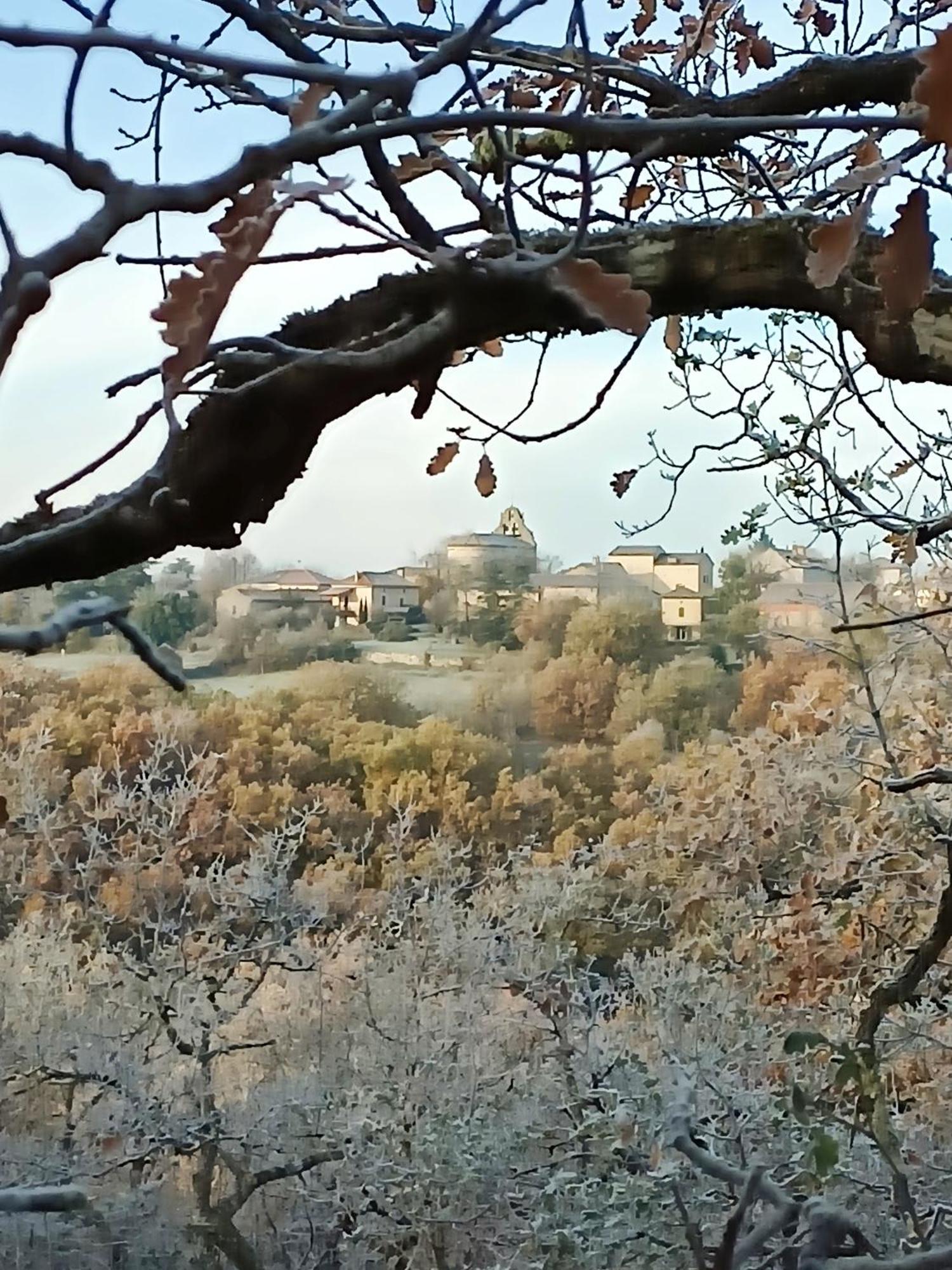 Villa L'Etoile De Zakiel à Cambayrac Extérieur photo